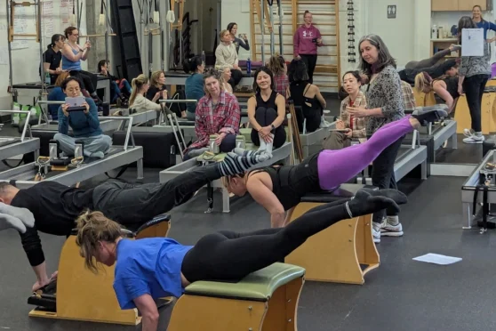 Atlas Pilates Curriculum Seminar Cycle